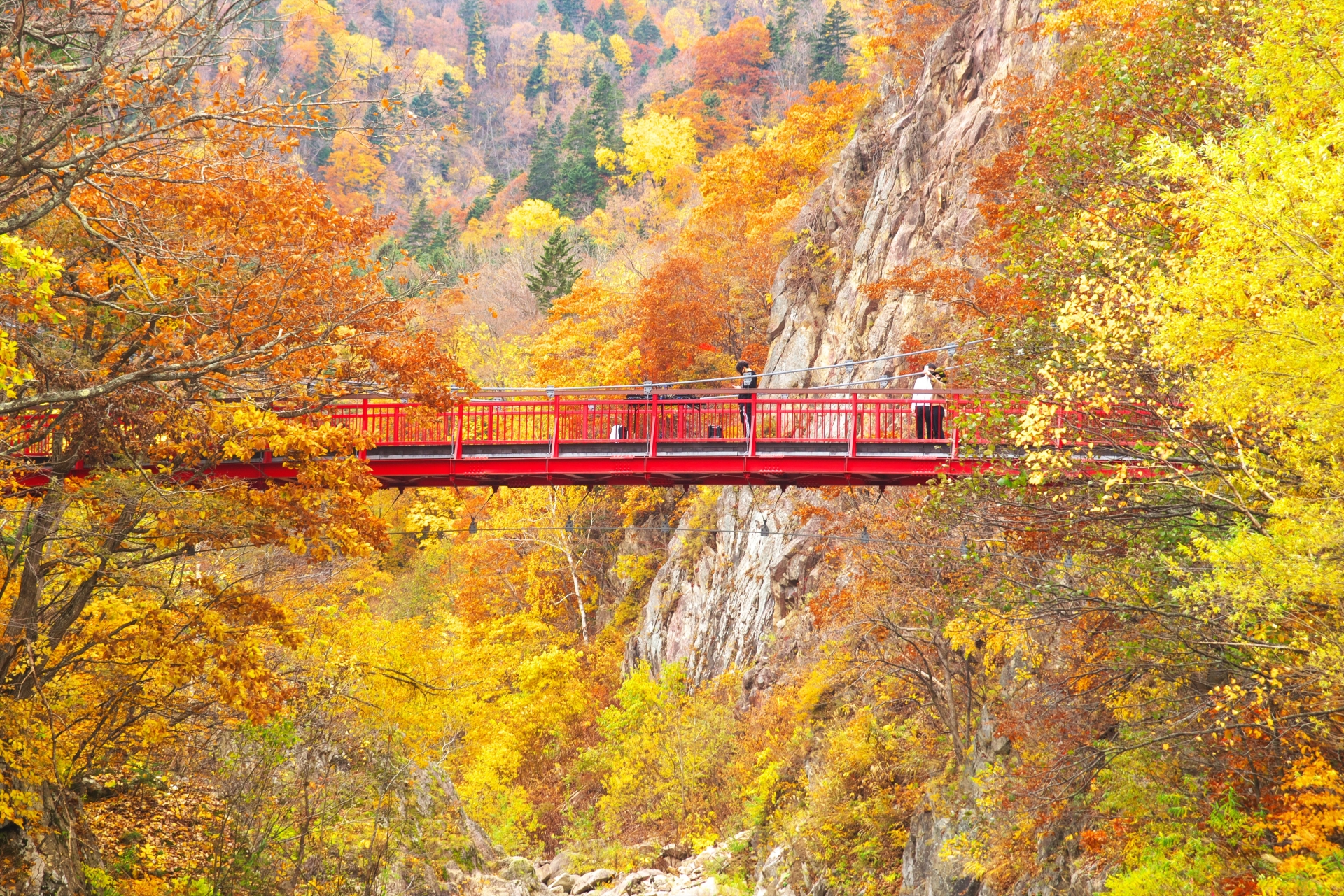 紅葉に包まれた定山渓温泉の二見吊橋