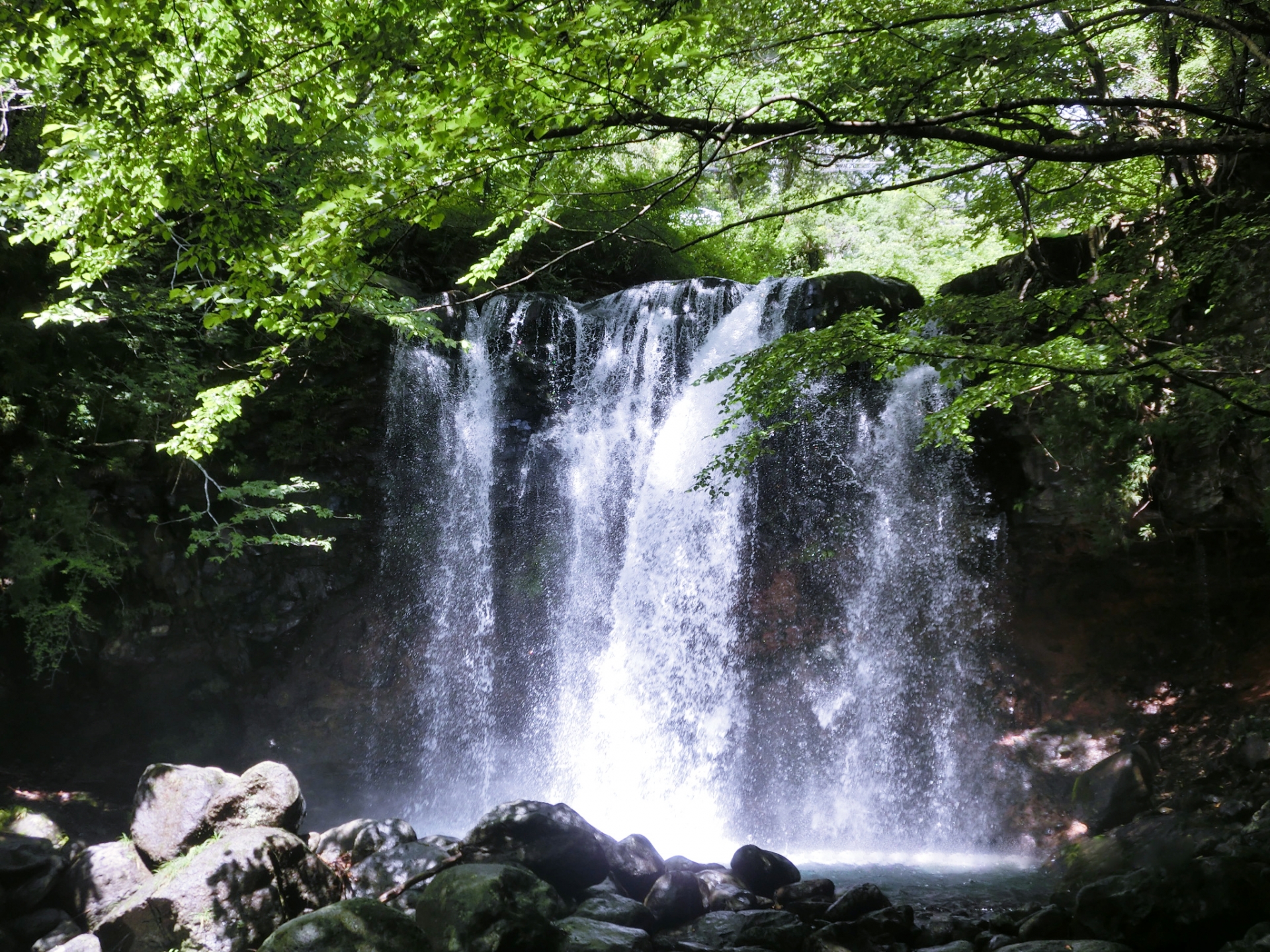 緑の木々と岩に囲まれ、白い水しぶきを上げる滝